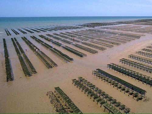 Les Pommiers Duplex Cosy Tout Confort Dans Maison Neuve Avec Terrasse Entree Independante 5 Mn De Bayeux Et 10 Mn Plage Du Debarquement Sommervieu ภายนอก รูปภาพ